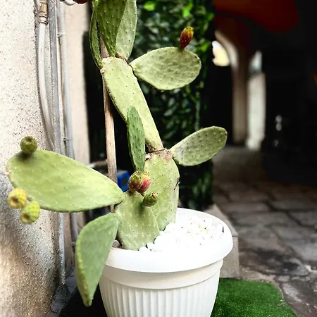 Apartamento Del Mio Cuore *